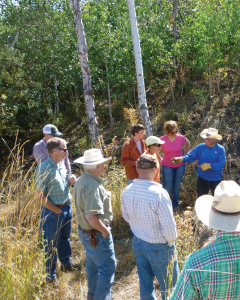 Carey, Idaho and Economic Recovery